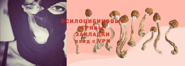 спайс Осинники