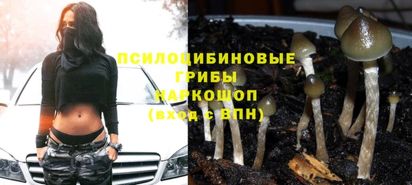 мяу мяу мука Осташков
