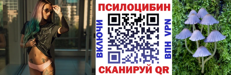 хочу наркоту  Великий Устюг  Псилоцибиновые грибы GOLDEN TEACHER 