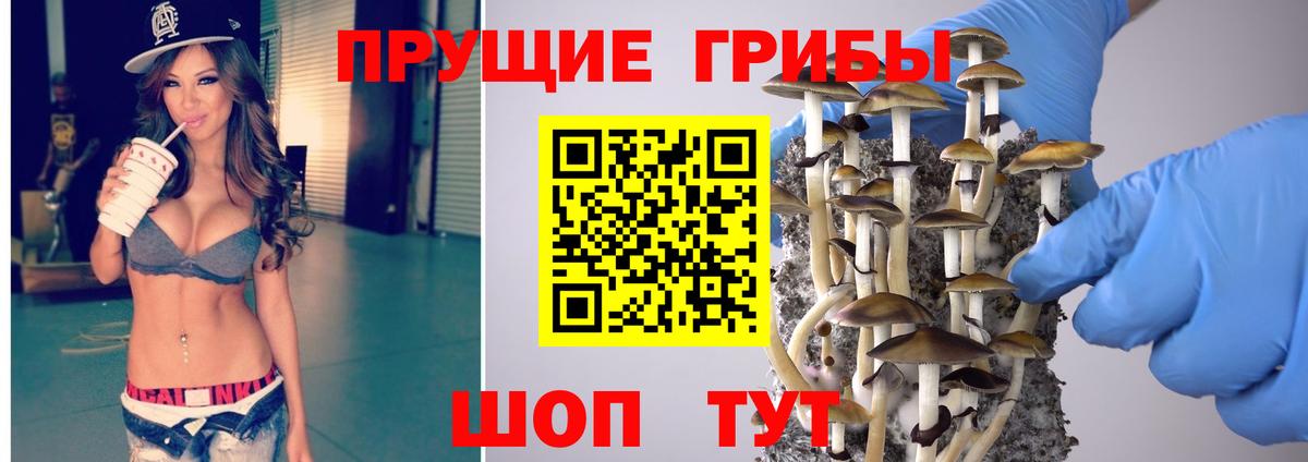 Псилоцибиновые грибы Psilocybe  Вход с VPN  Великий Устюг 