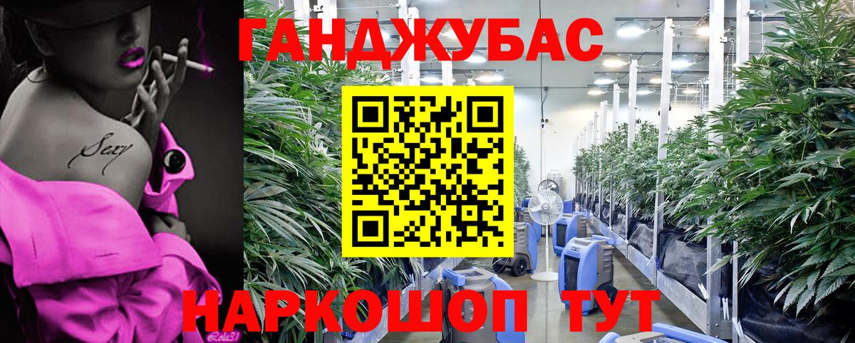 Шишки марихуана сатива  Великий Устюг  Шишки марихуана Ganja 